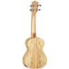 TANGLEWOOD TWT10 - Ukulele koncertowe