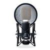 Marantz MPM3500R - Mikrofon wstęgowy