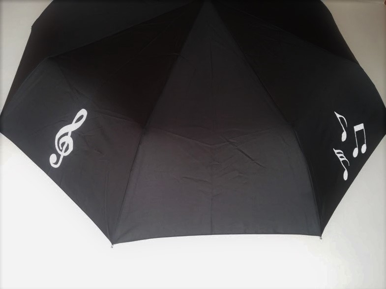 Zebra Music - Muzyczny Parasol Zebra Music - Muzyczny Parasol