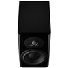 DYNAUDIO LYD 7 Black – Aktywny monitor