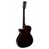 Richwood RA-12 CE NA Richwood Artist Series  - gitara elektroakustyczna