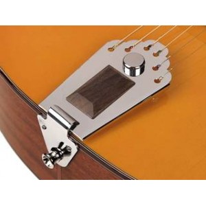 Richwood RM-70-NT HOT CLUB JAZZ - gitara akustyczna