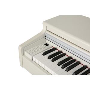 Samick SDP3000 - pianino cyfrowe