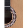 Prodipe Guitars Primera 4/4 - gitara klasyczna