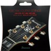 Ibanez IEGS61 - struny do gitary elektrycznej 10-46
