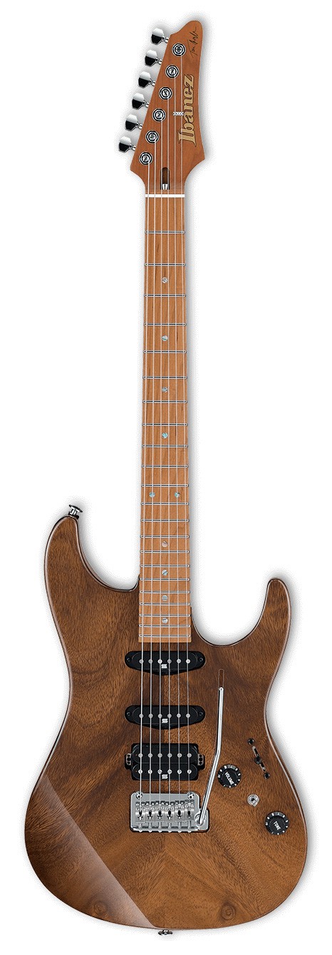 Ibanez TQM1-NT - gitara elektryczna