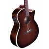 ALVAREZ AGW 77 CE LR AR (N) - gitara elektro-akustyczna 6-strunowa