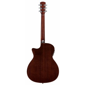 ALVAREZ AGW 77 CE LR AR (N) - gitara elektro-akustyczna 6-strunowa