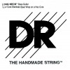 DR LONG NECKS - pojedyczna struna do gitary basowej, .065