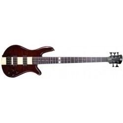 Spector NS2000/5DB Natural Gitara basowa Spector NS2000/5DB Natural Gitara basowa DAN BRIGGS SIGNATURE