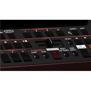 KORG PA1000 - profesjonalny aranżer (HDMI) - pakiet styli - GWARANCJA 3 LATA