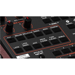 KORG PA1000 - profesjonalny aranżer (HDMI) - pakiet styli - GWARANCJA 3 LATA