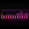 LEDJ Rapid QB1 HEX IP (White ) - par akumulatorowy biały - RGBWAUV 4x12W z ip65