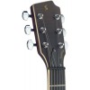 Stagg Silveray SVY SPCLDLX FBK - gitara elektryczna