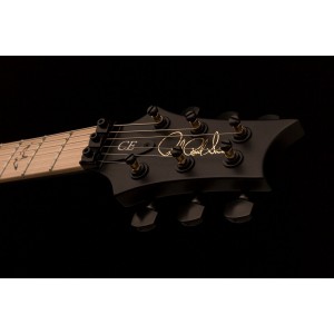 PRS DW CE 24 “Floyd” Limited Edition - gitara elektryczna, sygnowana