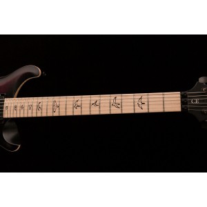 PRS DW CE 24 “Floyd” Limited Edition - gitara elektryczna, sygnowana