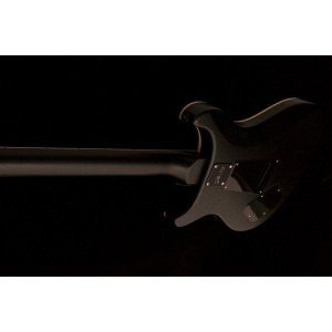 PRS DW CE 24 “Floyd” Limited Edition - gitara elektryczna, sygnowana