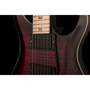 PRS DW CE 24 “Floyd” Limited Edition - gitara elektryczna, sygnowana