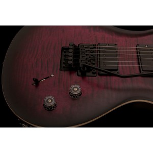 PRS DW CE 24 “Floyd” Limited Edition - gitara elektryczna, sygnowana