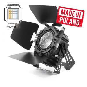 Flash PAR64 LED P250 WW 2000+9000K