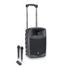 LD Systems ROADBUDDY 10 HHD 2 B6 - Battery Powered Bluetooth Speaker with Mixer and 2 Wireless Microphones