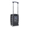 LD Systems ROADBUDDY 10 HHD 2 B6 - Battery Powered Bluetooth Speaker with Mixer and 2 Wireless Microphones