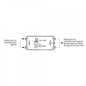 Palmer Pro BALUN - 2-kanałowy izolator liniowy  