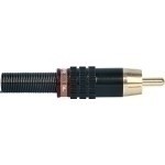 Proel MRCA25RD RCA męskie czarne kont.złoc. sprężynka