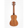 KALA KA-SA-C - All Solid Acacia Concert Ukulele, with Case