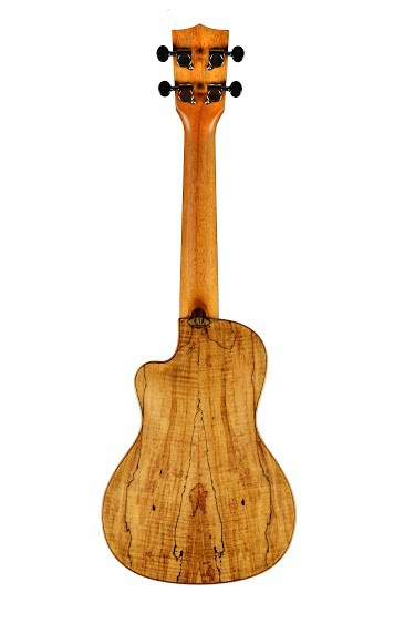 KALA KA-SSTU-SMC-C - Solid Spruce Spalted Maple Travel Concert Ukulele, with EQ, Cutaway & Bag