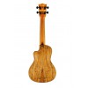 KALA KA-SSTU-SMC-C - Solid Spruce Spalted Maple Travel Concert Ukulele, with EQ, Cutaway & Bag