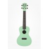 KALA Waterman KA-CWB-GN - Sea Foam Green Concert Ukulele, with Tote Bag