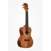 KALA KA-CEM - Exotic Mahogany Concert Ukulele, with Bag (UB-C)