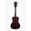 KALA KA-EBY-C - Ebony Concert Ukulele