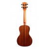 KALA KA-SBGE - Solid Spruce Mahogany Concert Ukulele, with EQ & Bag (UB-C)